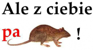 ale z ciebie