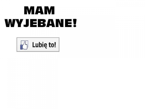 SUPER KOSZULKA -- MAM WYJEBANE "Lubię to" !