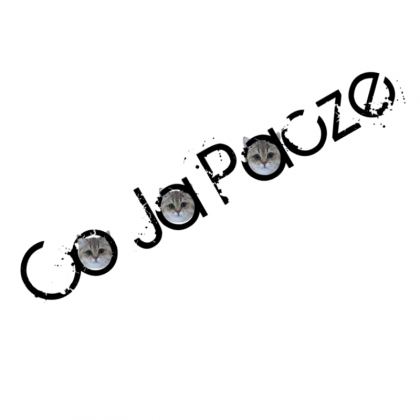 Koszulka Co Ja Pacze