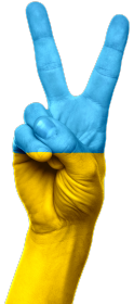 Koszulka Ukraina Victory damska