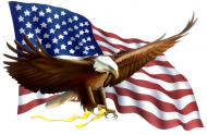 Koszulka z orłem i flagą USA