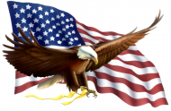Orzeł i flaga USA - koszulka damska