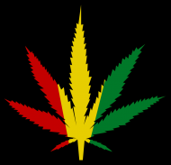 Koszulka marihuana rasta