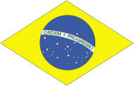 Flaga Brazylii - koszulka damska