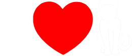 I love cats czarna
