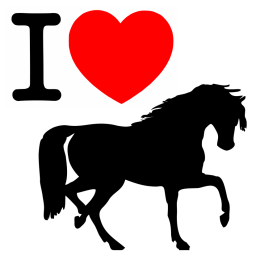 Koszulka I love horses męska