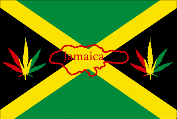 Flaga Jamajki i liście marihuany - koszulka damska