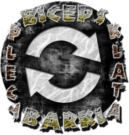 biceps klata barki plecy