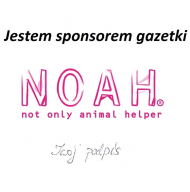 Koszulka NOAH
