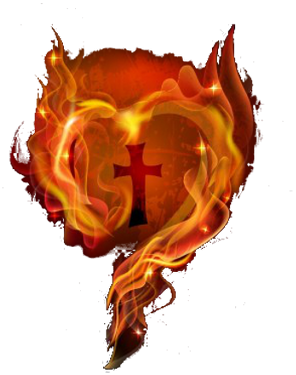 bluza d.rekaw ogieñ