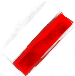 koszulka Polska Flaga