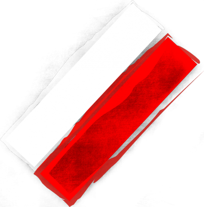 koszulka Polska Flaga