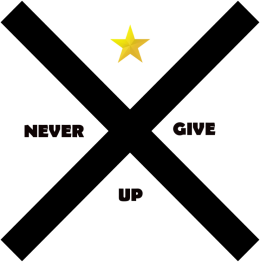 T-SHIRT STARSWEAR NEVER GIVE UP