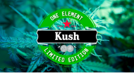 KUSH koszulka damska
