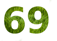Męski t-shirt "69"