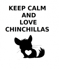 Keep Calm & Love Chinchillas - kubek czarny