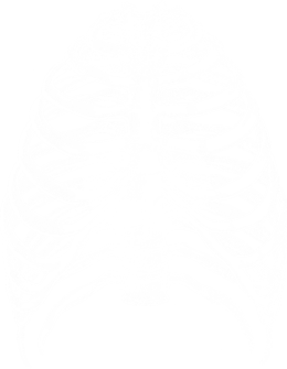 Ribs