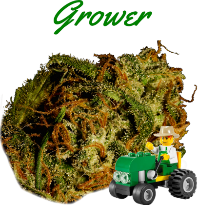 grower