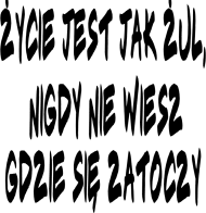 ŻUL
