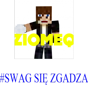 Koszulka SwagSieZgadza Rozmiar S - nadruk