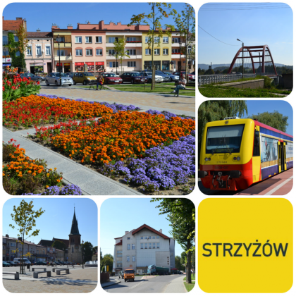 Strzyżów 8