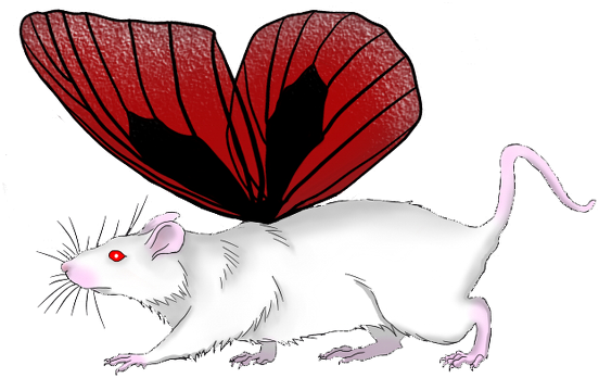 RATFLY Lestat COLOR