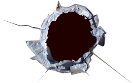 Shot