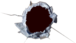 Shot
