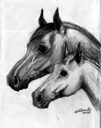 horse
