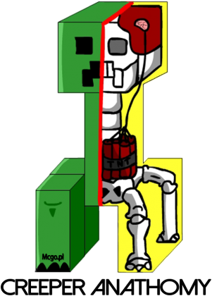 CREEPER ANATHOMY męska