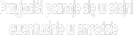 Koszulka "Przyjaciół poznaje się w stajni "