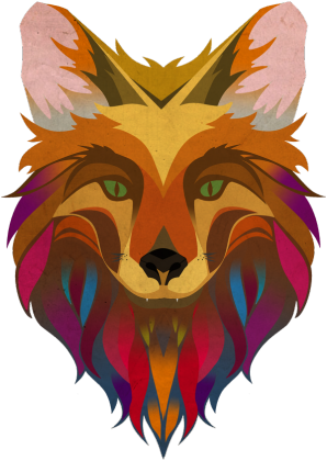 RAINBOW FOX  BLUZA