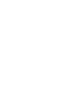 BLZ T-Shirt Classic - Saian