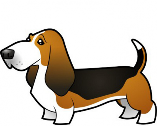 Poduszka z nadrukowanym  pieskiem Basset Hound