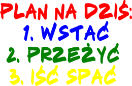 Plan Dnia