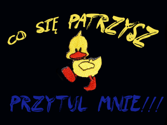 Koszulka  Co się patrzysz