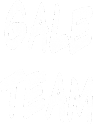 Gale Team - hunger games