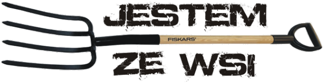 Jestem ze WSI koszulka prezent