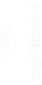 Koszulka: 100%