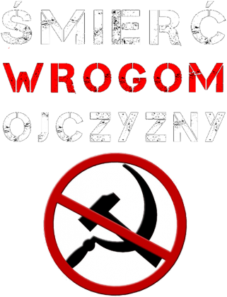 Koszulka ŚWO