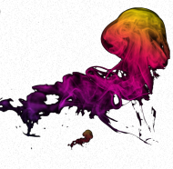 Meduza
