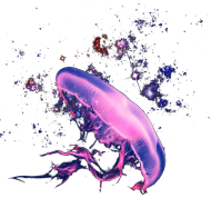 Wallaper