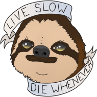 Live Slow Die Whenever #1 Bluza z kaputrem męska