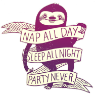 Nap all day | koszulka damska