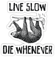 Live Slow Die Whenever #2 Bluza z kaputrem męska