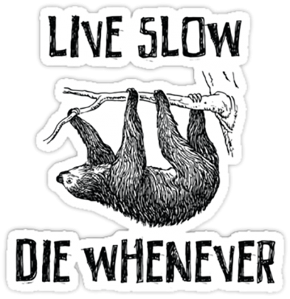 Live Slow Die Whenever #2 Bluza z kaputrem męska