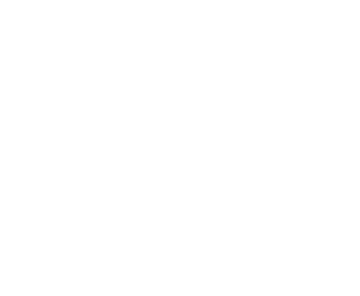 Koszulka kaszanka