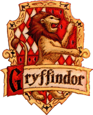 Koszulka Gryffindor