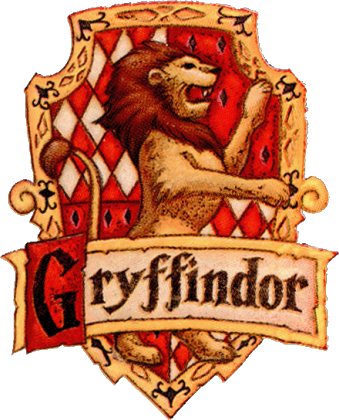 Koszulka Gryffindor