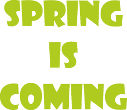 Koszulka damska - Spring Is Coming - NWK